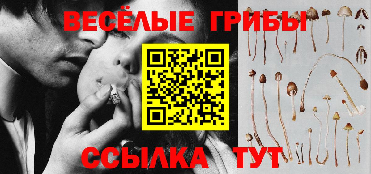 Псилоцибиновые грибы прущие грибы  Вход с VPN  Псилоцибиновые грибы мицелий  Губкинский 